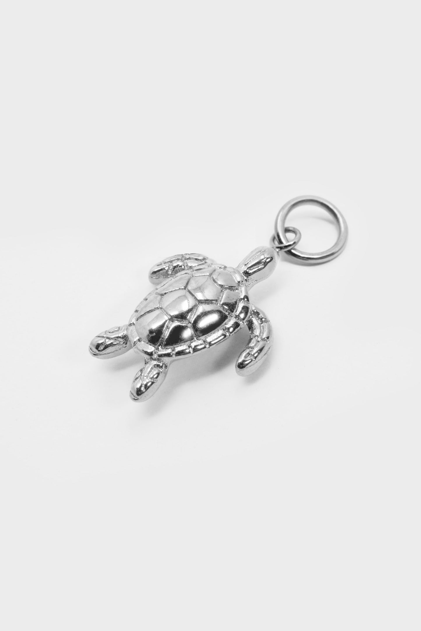 Charm TURTLE